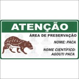 Atenção - Área de preservação, Nome: Paca, Nome cientifico: Agouti paca 